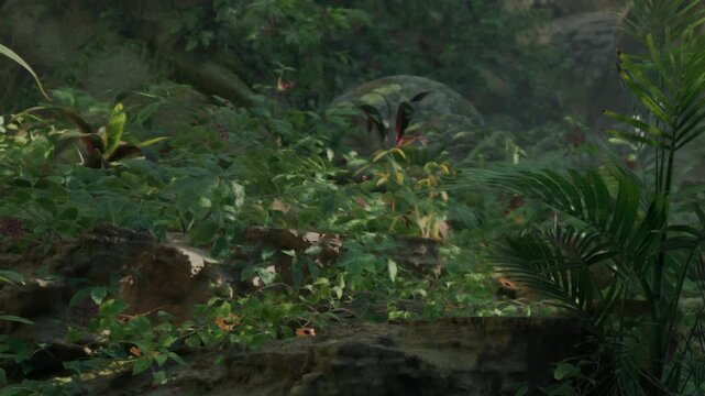 A group of plants and rocks can be seen in a green area. Sunlight filters through the leaves, casting shadows on the ground. The scene shows a vibrant environment filled with life.
