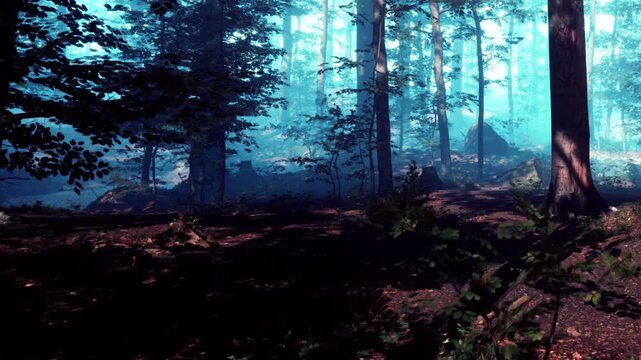 A forest scene shows tall trees with mist surrounding the ground. Sunlight filters through the leaves, creating a soft light. The ground has fallen leaves and branches.