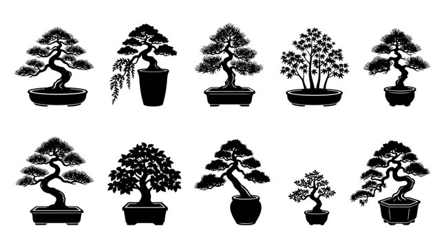 Variety of bonsai trees in pots black silhouette
