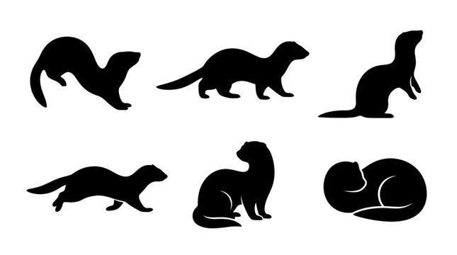Black ferret silhouettes in various poses against a white background silhouette