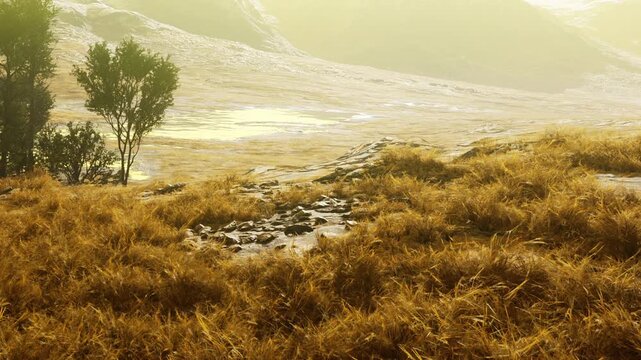 A landscape shows tall grasses and trees in an open area. The sun sets in the background, casting yellow light over the land and reflecting on calm water nearby.