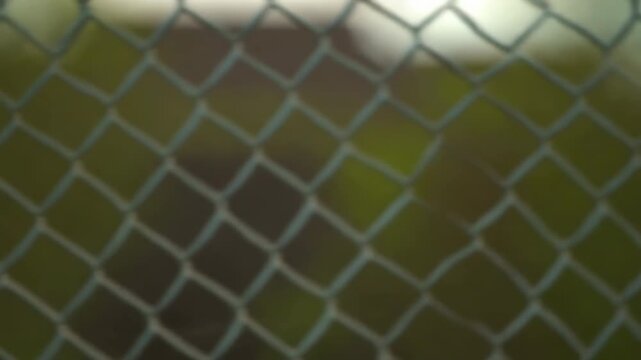 Chain link fence moves across close foreground as camera travels beside metal mesh and support posts, with softly blurred greenery and muted building shapes visible beyond in daylight