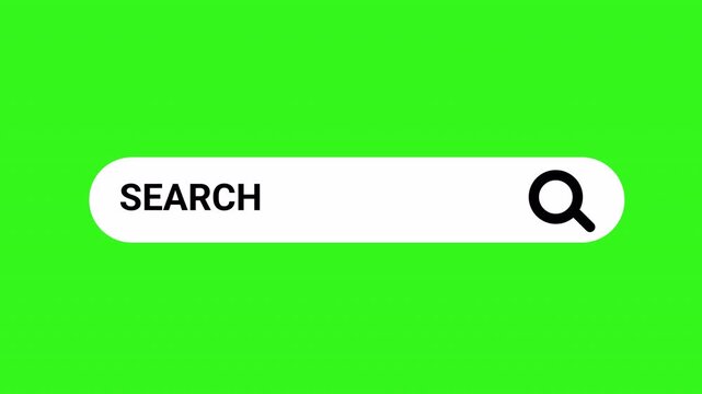 Animated search bar engine animation on green screen, with alpha channel. search bar button animation Website SEO and Internet Optimization. 4K Resolution