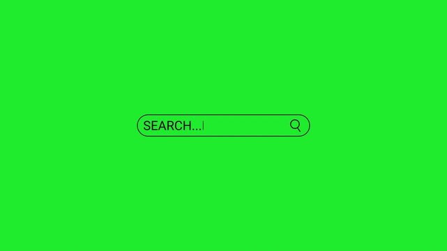 Animated search bar engine animation on gree screen, with alpha channel. search bar button animation Website SEO and Internet Optimization. 4K Resolution