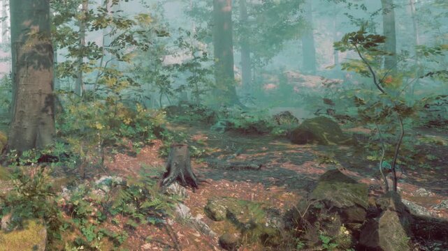 In a forest, trees stand tall with mist covering the ground. Small plants and rocks are scattered around. The scene shows a natural setting with a soft light filtering through the leaves.