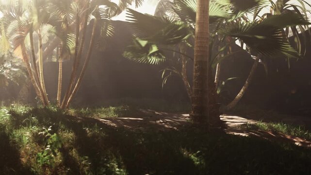 Sunlight filters through palm leaves in a tropical garden. The scene shows tall trees, scattered plants, and lush grass during the day. A warm glow highlights the greenery.