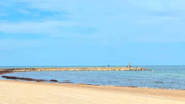 Sargassum bloom Bal Harbour 2026