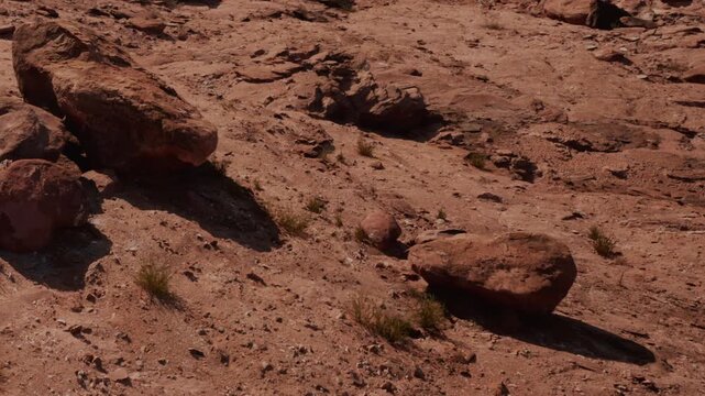 A dry desert landscape shows a rough surface with large stones and small patches of grass. The scene captures the natural setting under direct sunlight.