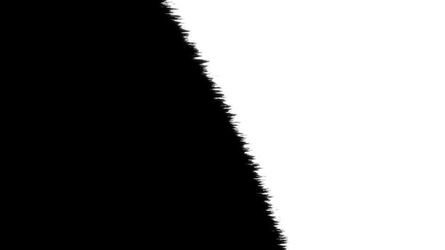 White paint brush stroke transitions on black screen background,  abstract paint brush stroke shape ink splattering flowing, 4k video
