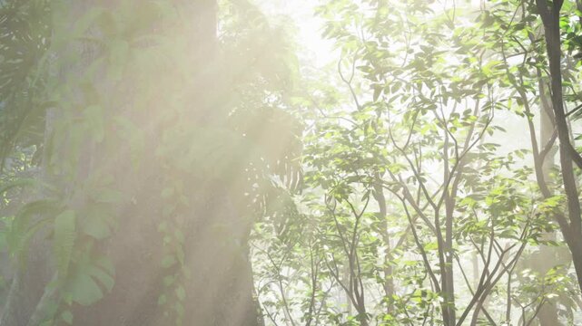 Sunlight filters through the leaves of trees in a dense forest. The scene is fresh and vibrant as morning light creates a bright atmosphere. Green foliage surrounds the tall trunk.