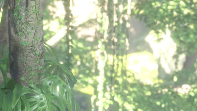 Tall trees covered in vines show greenery in a bright forest. Sunlight filters through the leaves, creating patterns on the ground. Nature is full of life and energy during the day.