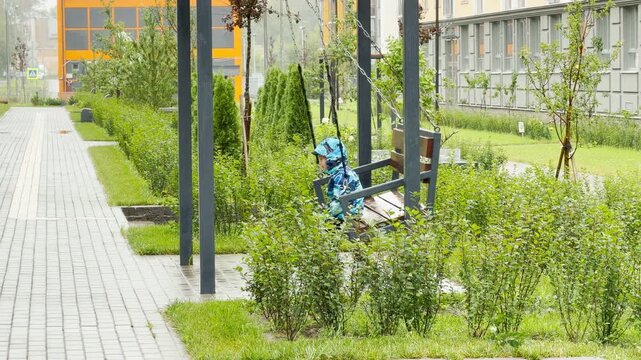 A young boy in a blue jacket sits on a hanging bench swing in a green park. He rests quietly amidst lush bushes on a rainy day. The lonely child feels calm and melancholic.