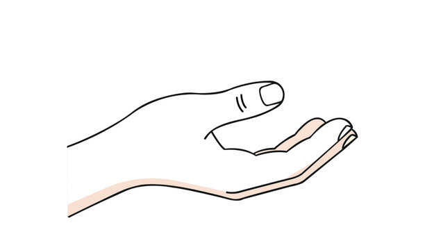 Illustration of an open human hand palm up, gesture of offering or receiving, vector