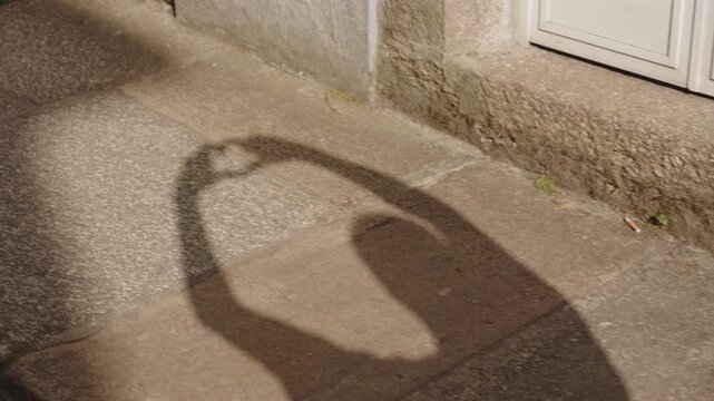 Playful perspective capturing the shadow of a person forming a heart shape with their hands on a paved stone sidewalk.