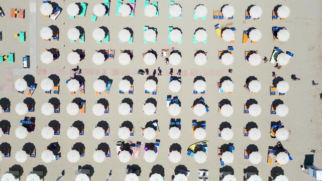 Top-down aerial drone view flying over rows of colorful beach umbrellas on sandy seashore in Cesenatico, Riviera Romagnola, Emilia-Romagna, Italy
