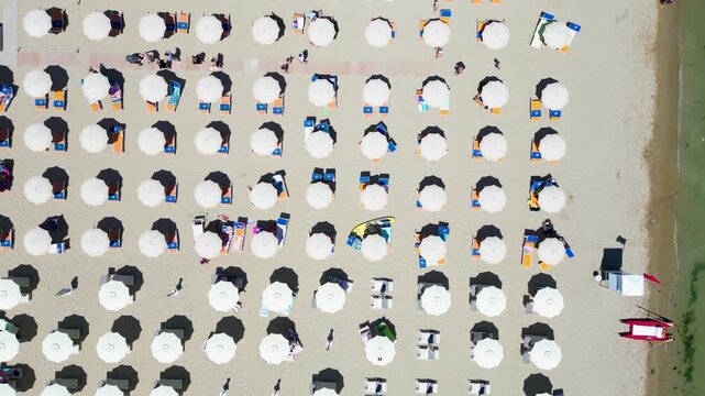 Top-down aerial drone view flying over rows of colorful beach umbrellas on sandy seashore in Cesenatico, Riviera Romagnola, Emilia-Romagna, Italy