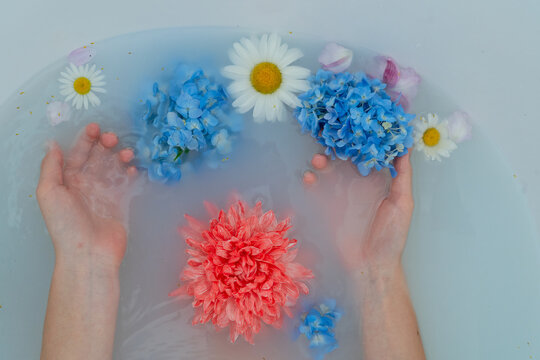 Hands cradling pastel flowers in milky bathtub with soft overhead light and delicate floral arrangement, with hand, flower, bathtub, bath detail, showing milky, milkywater, hydrangea, daisy context