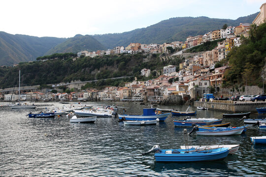 Scilla