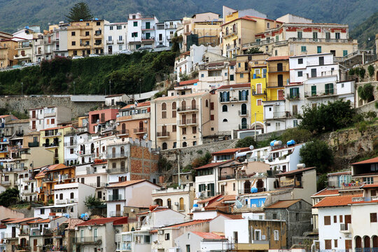 Scilla