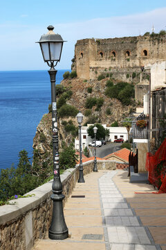 Scilla