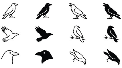 Naklejka premium Black and white line of various bird species birds