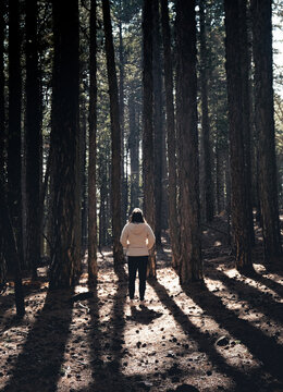 Teenage woman walking in the forest with tall pine trees. Healthy lifestyle in nature. Troodos Forest Cyprus
