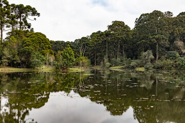 Fototapeta premium Lake in Canela, Rio Grande do Sul, Brazil – Araucaria Forest Landscape