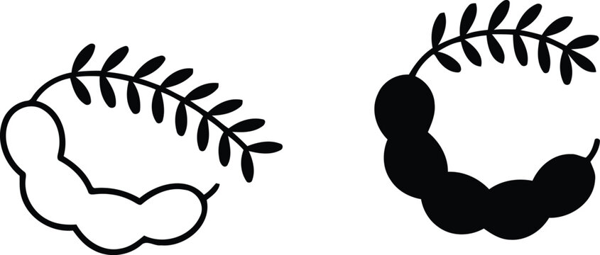 Tamarind pods and leaves black and white vector illustration.