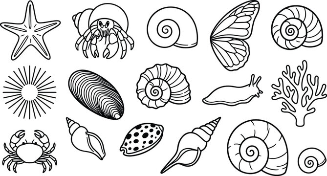 Seashell and marine life line art vector icon set featuring minimal black outline drawings of crab starfish coral hermit crab and spiral shells for beach designs