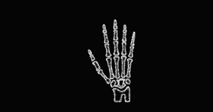 Sketch hand anatomy icon animation - smooth progressive reveal