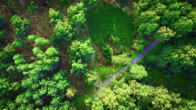 Biker cycling in a park road, seen from a drone from up above perspective. 