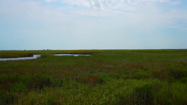 The vast, treeless coastal prairie near Freshwater City, Louisiana, and Pecan Island has many canals dug decades ago by petroleum producers. 