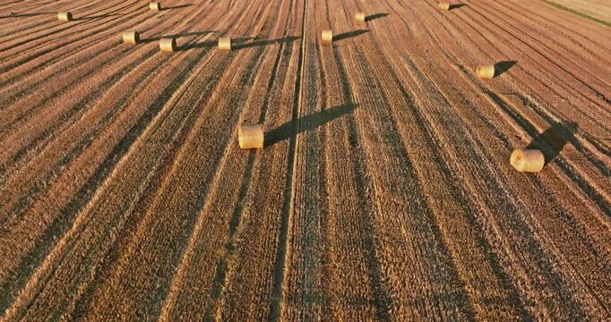 Aerial view of hay sheaves scattered across a Polish field.