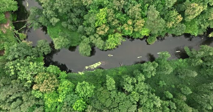 Flying over kayakers on a wild summer river in Poland.
