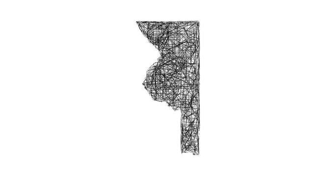 Sketch Sumter outline map animation - smooth progressive reveal