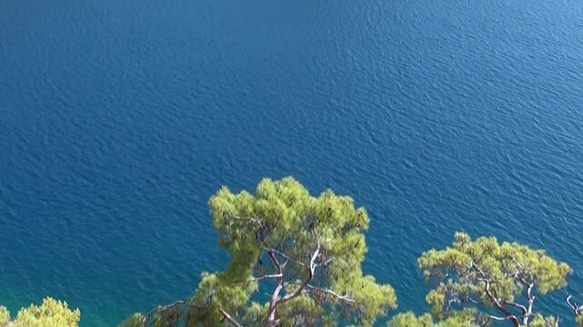 Rugged red cliffs and green pine trees border the deep blue Mediterranean Sea under bright sunlight, creating a high contrast color scheme with natural textures.