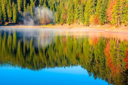 lake Synevyr in autumn. spruce forest reflection in morning light. fall season in Carpathian mountains. popular travel destination of Ukraine