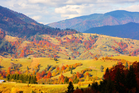 countryside mountain landscape of Ukraine in autumn. rural valley with rolling hills on a sunny day in fall colors. Mizhhirya district