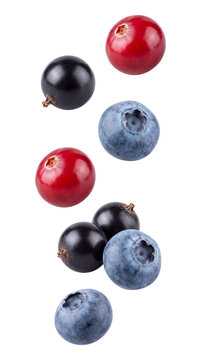 Falling fresh berries isolated on transparent background