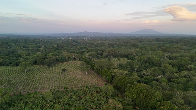 Expansive green fields and hills in Nicaragua. Evening light shines over the landscape.