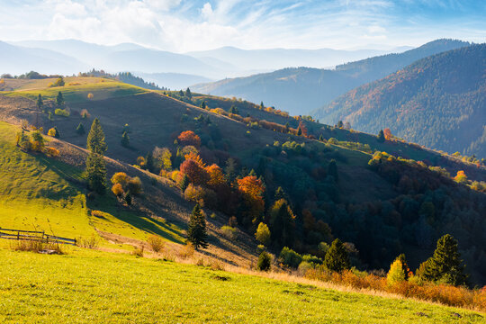 countryside landscape in autumn. rural scenery in Carpathian mountains. colorful deciduous forest by the rural fields on a hillside in afternoon light