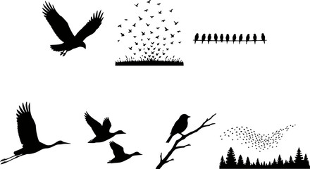 Naklejka premium Autumn Migrating Bird Flock Silhouette Vector Set — Geese, Eagle, Crane, Duck, Murmuration, Perched, Wire, Transparent