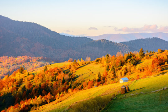 scenic carpathian morning in autumn. countryside mountain landscape with forest in fall colors. path leading through rolling hills in to the foggy valley under bright sky