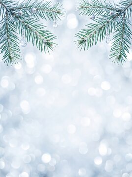 Winter Christmas background with frosted pine branches and bokeh lights