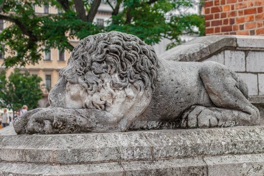 Stone statue of a sleeping lion in front of the Town Hall Tower in Krakow, Poland