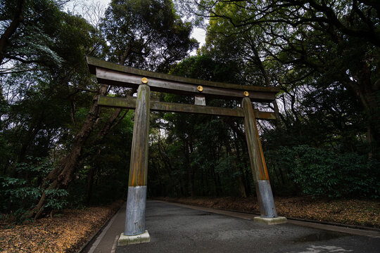 Wooden Torii Gate in Japan