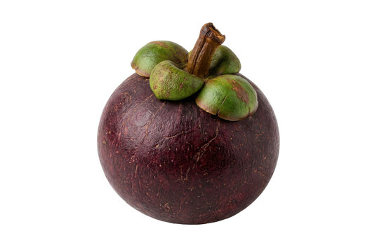 Single whole mangosteen fruit on black background.
