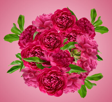 Round bouquet of red peonies and green leaves on a red background, festive wreath
