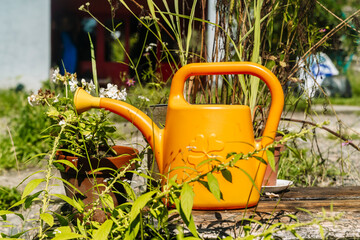 Watering can in a garden surrounded by green plants and flowers © Fox Bread