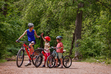 Fototapeta premium Coach and children cyclists pause on a forest trail together